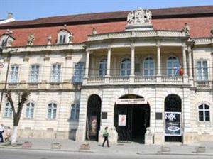 Muzeele clujene, luate cu asalt în weekend. Vezi numărul exact al vizitatorilor