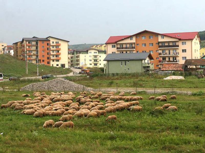ALEGERI LA CLUJ: Cum au votat locuitorii celei mai mari comune din ţară 