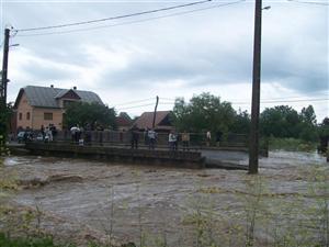 Inundaţii în Măguri Răcătău: podeţe şi drumuri forestiere distruse de ape 