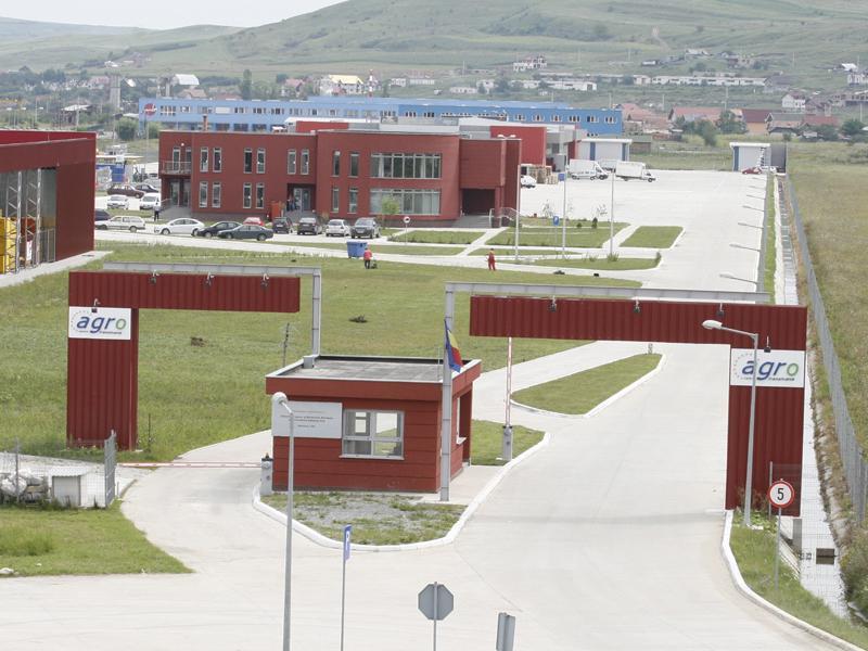 O tonă de fructe şi legume confiscate din piaţa Dezmir 