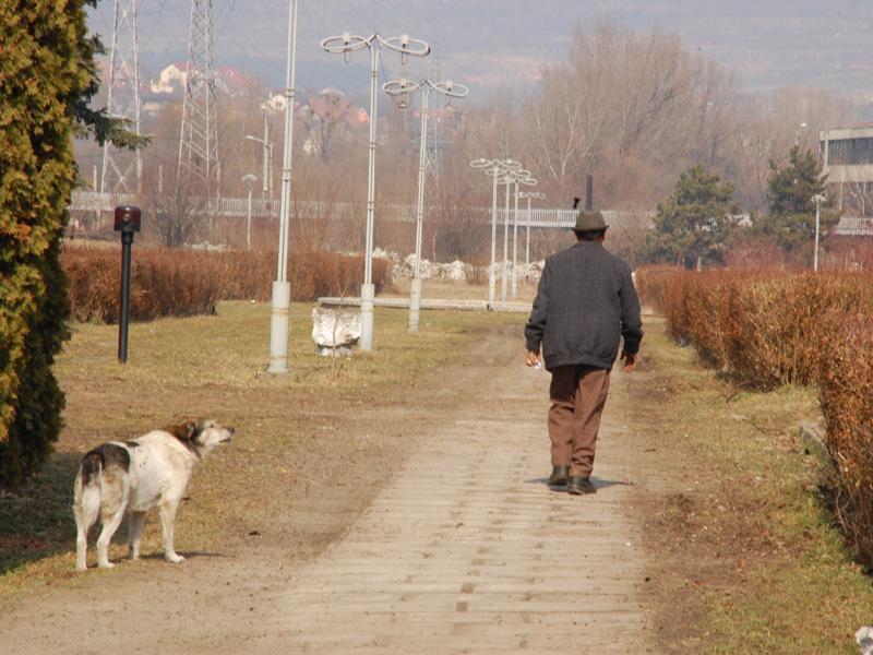 CFR SA vs CFR 1907. Contractul pentru Parcul Feroviarilor ar putea fi reziliat