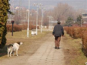 CFR SA vs CFR 1907. Contractul pentru Parcul Feroviarilor ar putea fi reziliat