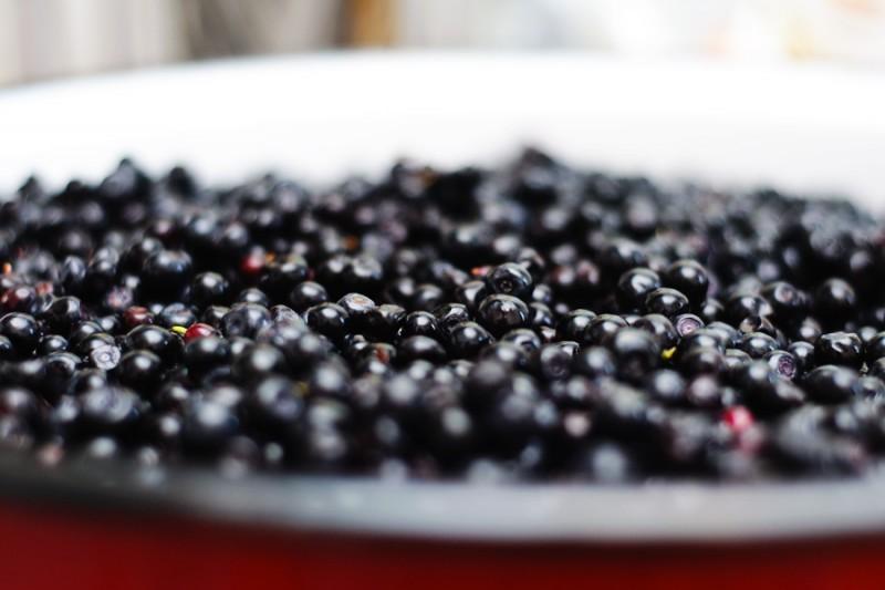 Sute de kilograme de ciuperci şi fructe de pădure, confiscate de poliţiştii clujeni