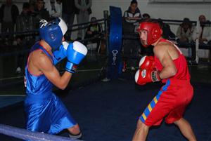 Cinci medalii pentru boxul clujean