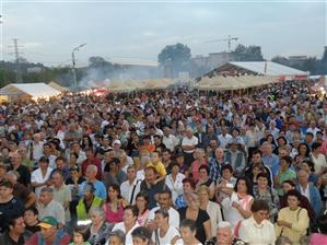 Trupele participante la Septemberfest trimit mesaje clujenilor