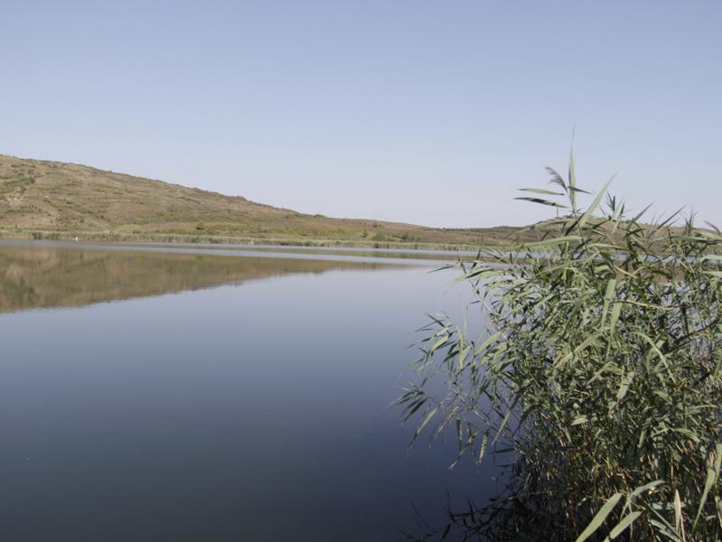 Patru pescari, fraieriţi de un pretins proprietar al unui izlaz