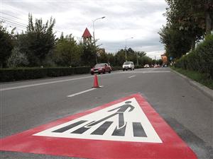 Şi-a luat toate măsurile de precauţie, dar tot a fost călcată pe trecerea de pietoni! 