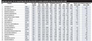 Cele mai mari 20 de companii după afacerile din 2013