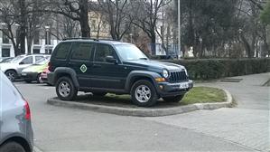 RUPE-ŢI PERMISUL! Spaţiul verde, covor pentru roţile autoturismelor