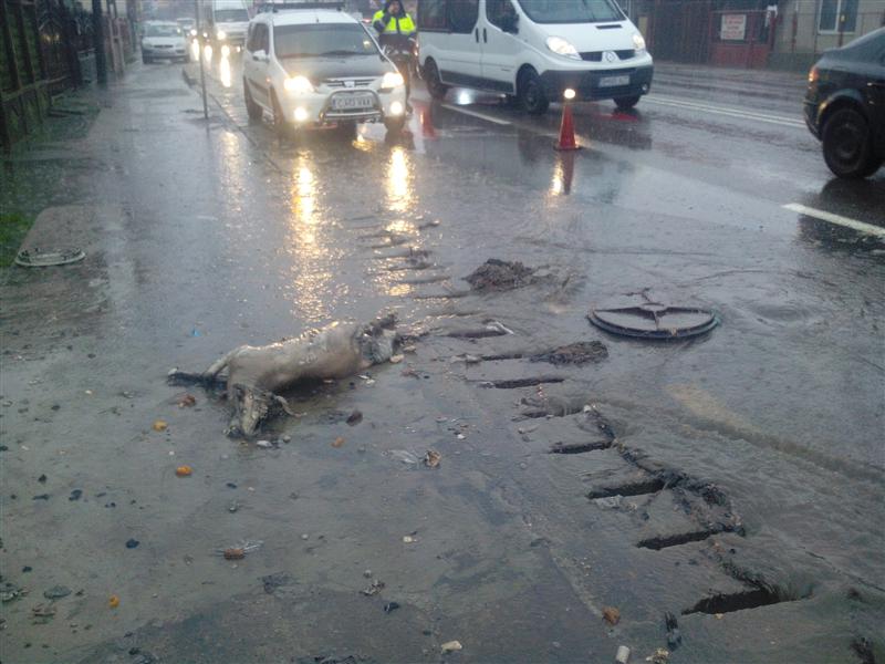 Surpriză de proporţii. Ce au descoperit muncitorii veniţi să desfunde o canalizare