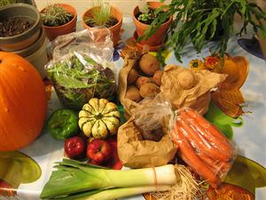 TVA la alimente nu poate fi redusă sub 15% până în decembrie 2015