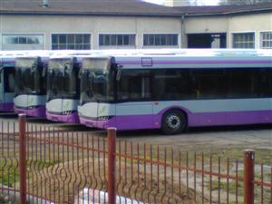 Sărbători în garaj. Autobuzele mov pornesc din ianuarie