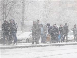 Sute de copii din judeţul Cluj nu fac ore din cauza viscolului şi gerului 