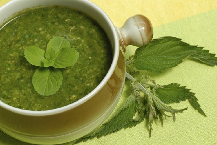 Planta ÎNŢEPĂTOR de SĂNĂTOASĂ: alungă DIABETUL, elimină TOXINELE şi combate INFECŢIILE