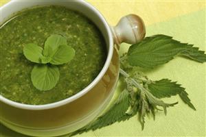 Planta ÎNŢEPĂTOR de SĂNĂTOASĂ: alungă DIABETUL, elimină TOXINELE şi combate INFECŢIILE