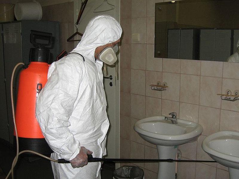 Începe prima etapă de deratizare pe domeniul public din acest an
