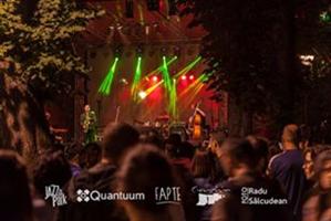 Cum poţi ajunge pe scenă la Jazz in the Park