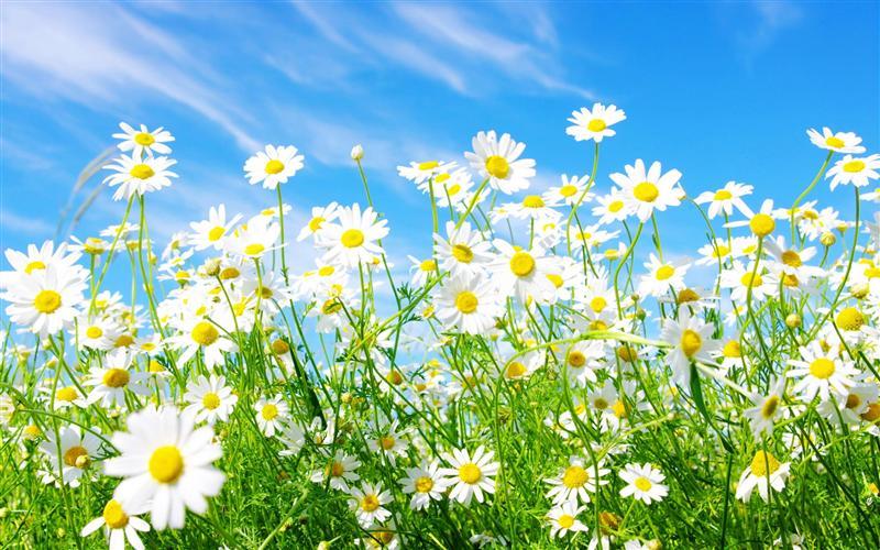 Vremea până în iunie. Prognoza meteorologilor