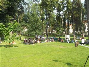Activităţi pentru copii şi tur de observare, în Parcul Central şi pădurea Hoia, de Ziua Păsărilor 