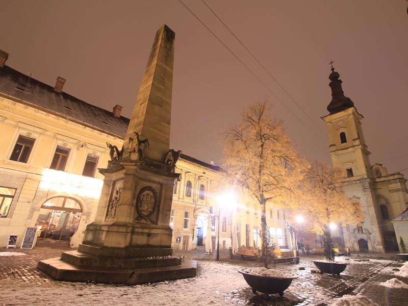 Se caută proiecte culturale pentru Cluj Never Sleeps