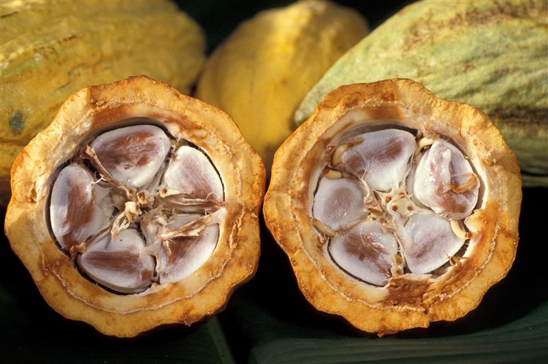 ANTIOXIDANTUL delicios de MIRACULOS: curăţă VASELE de SÂNGE, perevine DIABETUL, protejează INIMA