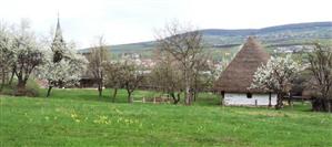 Muzeul satului din Hoia trece la ora de vară. Cât costă un bilet de acces