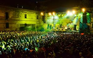 S-au epuizat abonamentele la Electric Castle 2015. Cât costă biletele de o zi 