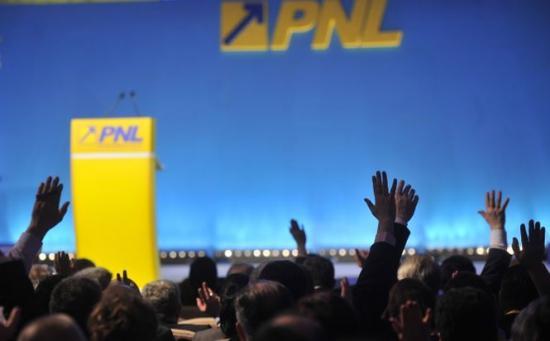 N-au majoritatea în parlament, dar îşi fac program de guvernare