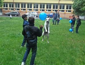 Demonstrații de dog-dancing, de dresaj și de agilitate, luni, la Ziua Interacţiunii Om-Animal