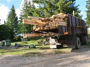 Continuă tăierile ilegale de arbori în judeţ. Poliţia face apel la cetăţeni să sune la 