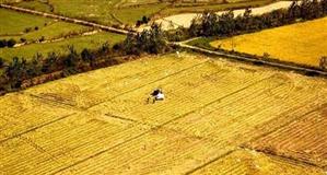 Buda: Ministrul Agriculturii să prelungească termenul de depunere la APIA a cererilor de subvenţii