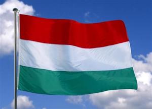 Ungaria vrea să construiască un gard la graniţa cu Serbia pentru combaterea imigraţiei ilegale