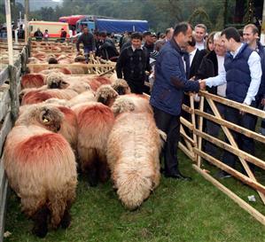 Ministrul Agriculturii va conduce caravana PNDR