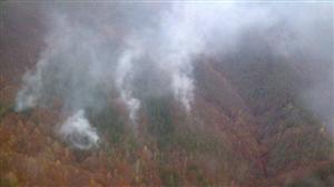 Incendiu pe pădure în zona Măguri Răcătău. S-a intervenit cu un elicopter al MAI