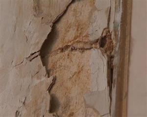 Comisia de buget a decis majorarea impozitului pe clădirile şi terenurile neîngrijite