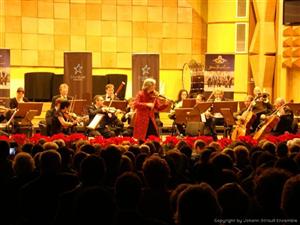 Strauss Festival Orchestra Vienna revine la Cluj 
