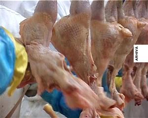 Angajaţi de coşmar: au furat zeci de kilograme de produse din carne de pui de la firma la care lucrau
