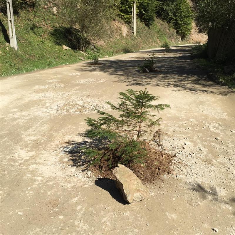 După „autostrăzile