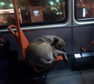 „Un bilet pentru Azorel, vă rog!