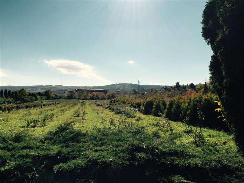 Staţiunea Palocsay trece în administrarea Universităţii de Ştiinţe Agricole. Ce probleme are instituţia GALERIE FOTO