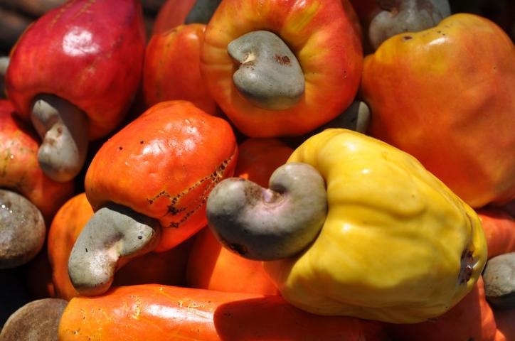 EXOTIC, dar EFICIENT: previne CANCERUL, protejează NERVII, menţine SĂNĂTATEA PĂRULUI şi a PIELII 