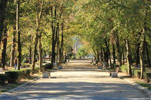 Zilele Porților Deschise la Parcul Sportiv „Iuliu Hațieganu”