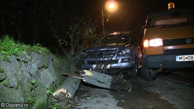 Bolid de lux, distrus într-un accident rutier. Cum s-a petrecut evenimentul VIDEO
