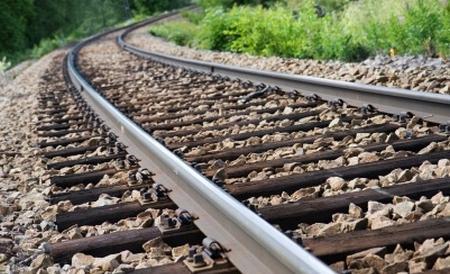 Trafic feroviar perturbat. Un copac s-a prăbuşit peste linia de cale ferată
