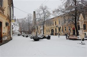 Târg de fapte bune. În Piaţa Muzeului 