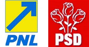 Câţi români mai votează PSD şi PNL. Mişcarea Populară şi PRM, surprizele din sondaje