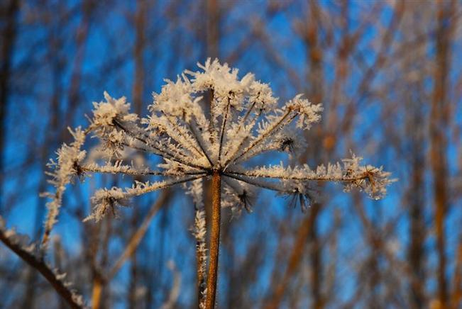 Vremea se va menţine rece. Prognoza meteo pentru luni şi marţi