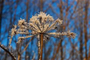 Ger în toată regula! Ce spun meteorologii