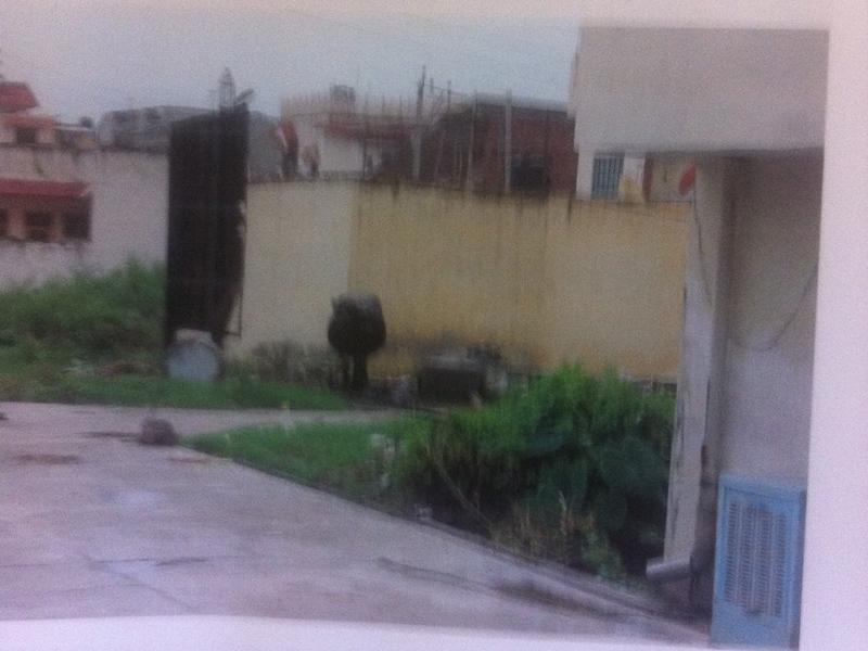 O clujeancă, condamnată la închisoare după ce a dotat mai multe spitale cu aparatură făcută într-o mahala din India