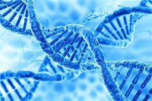 Modificarea genetică a embrionilor umani, aprobată în Marea Britanie